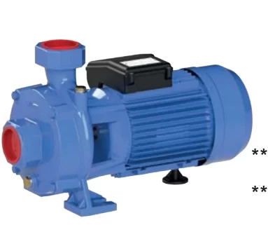 sumak-smk300-2-s-cift-kademeli-sicak-su-santrifuj-pompa-21034260-sw383sh351 Sumak SMK300/2-S Çift Kademeli Sıcak Su Santrifüj Pompa - Görsel 1