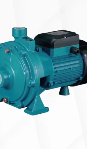 Kaysu 2HCP-160 Çift Kademeli Pompa