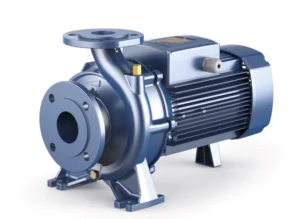 Pedrollo F 65/160B Flanşlı Santrifüj Pompa