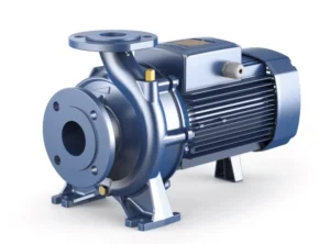 Pedrollo F 65/250A Flanşlı Santrifüj Pompa