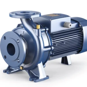 Pedrollo F 65/250A Flanşlı Santrifüj Pompa