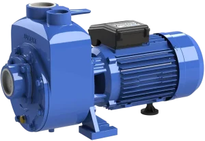 Sumak DSM220/2 Klapeli Santrifüj Pompa